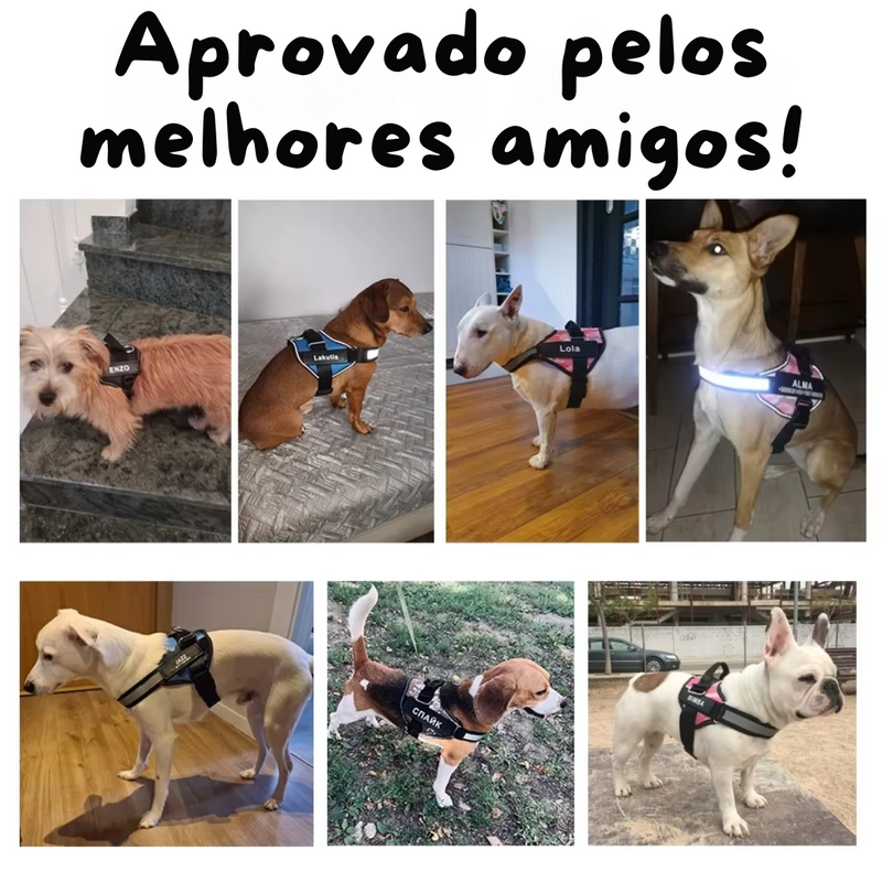 Coleira Peitoral Personalizado para Pets - Segurança, Estilo e Conforto!