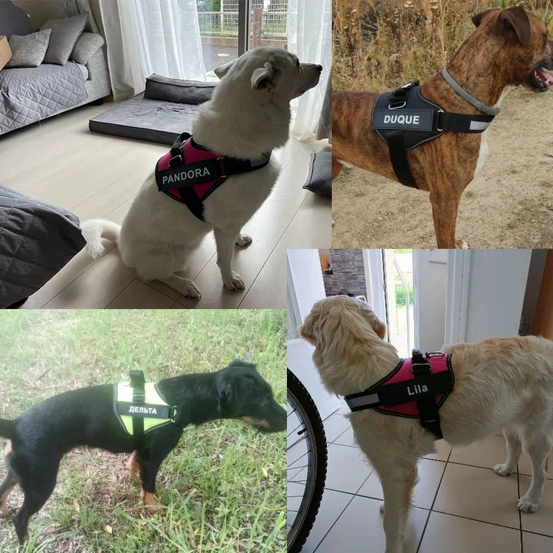 Coleira Peitoral Personalizado para Pets - Segurança, Estilo e Conforto!